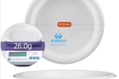 20241202110319 20241202110319